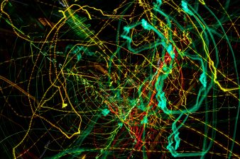 Pragmatism and Sobriety: The Drivers for Sustainable IT