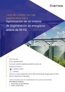 Caso cliente Cogeneracion energia