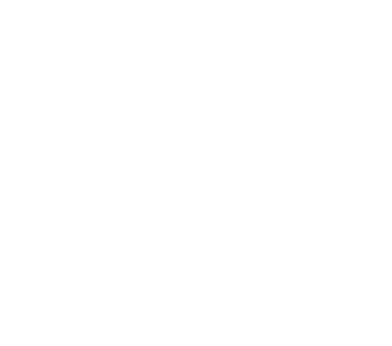 Voir plus