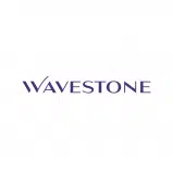 METRON Identified as Key Tertiary EMS Player by Wavestone